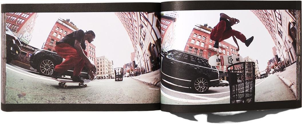 "Play Dead" Book view 2